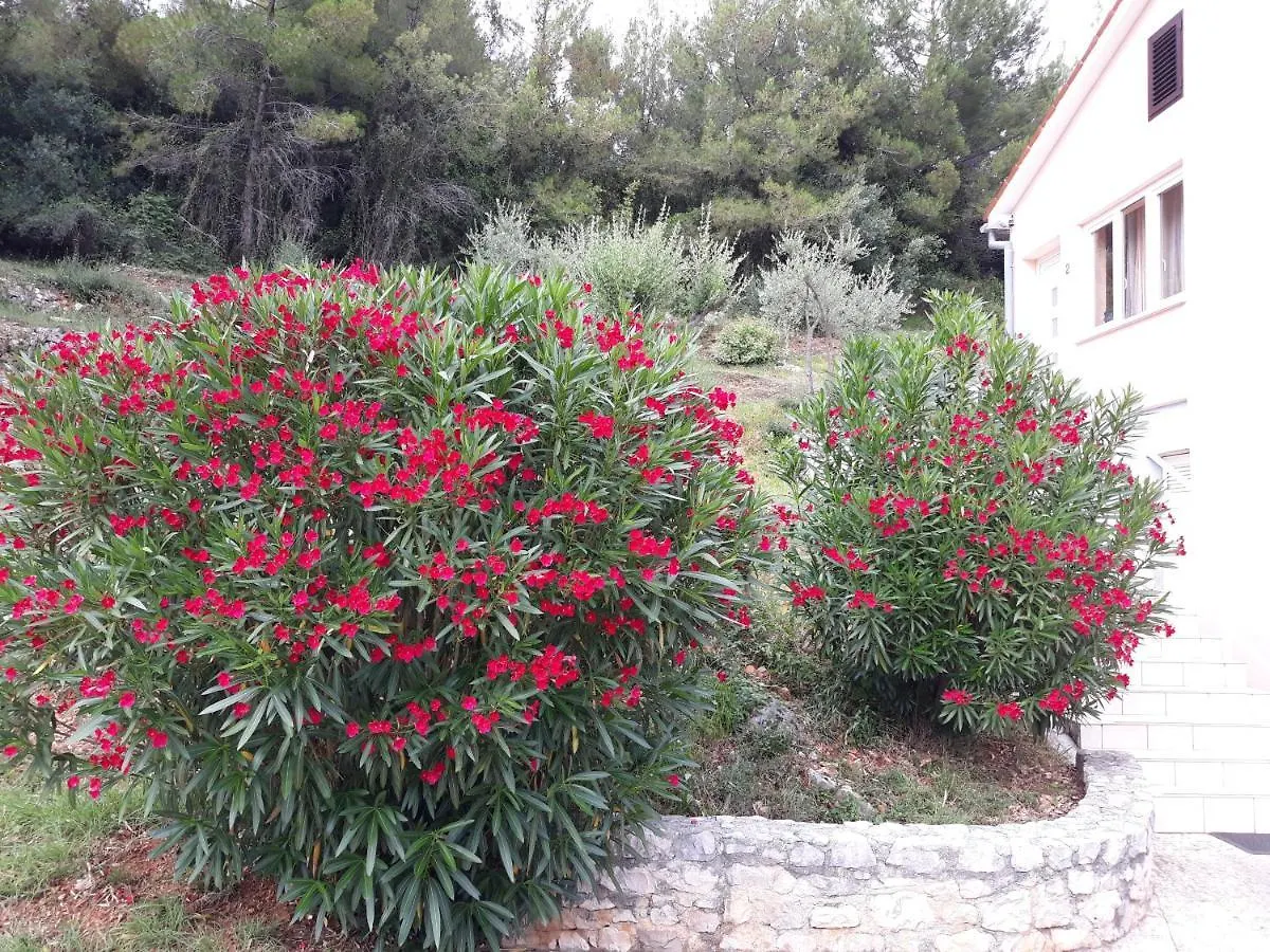 Holiday House Lucana - Sveta Marina Villa Labin  Croatia